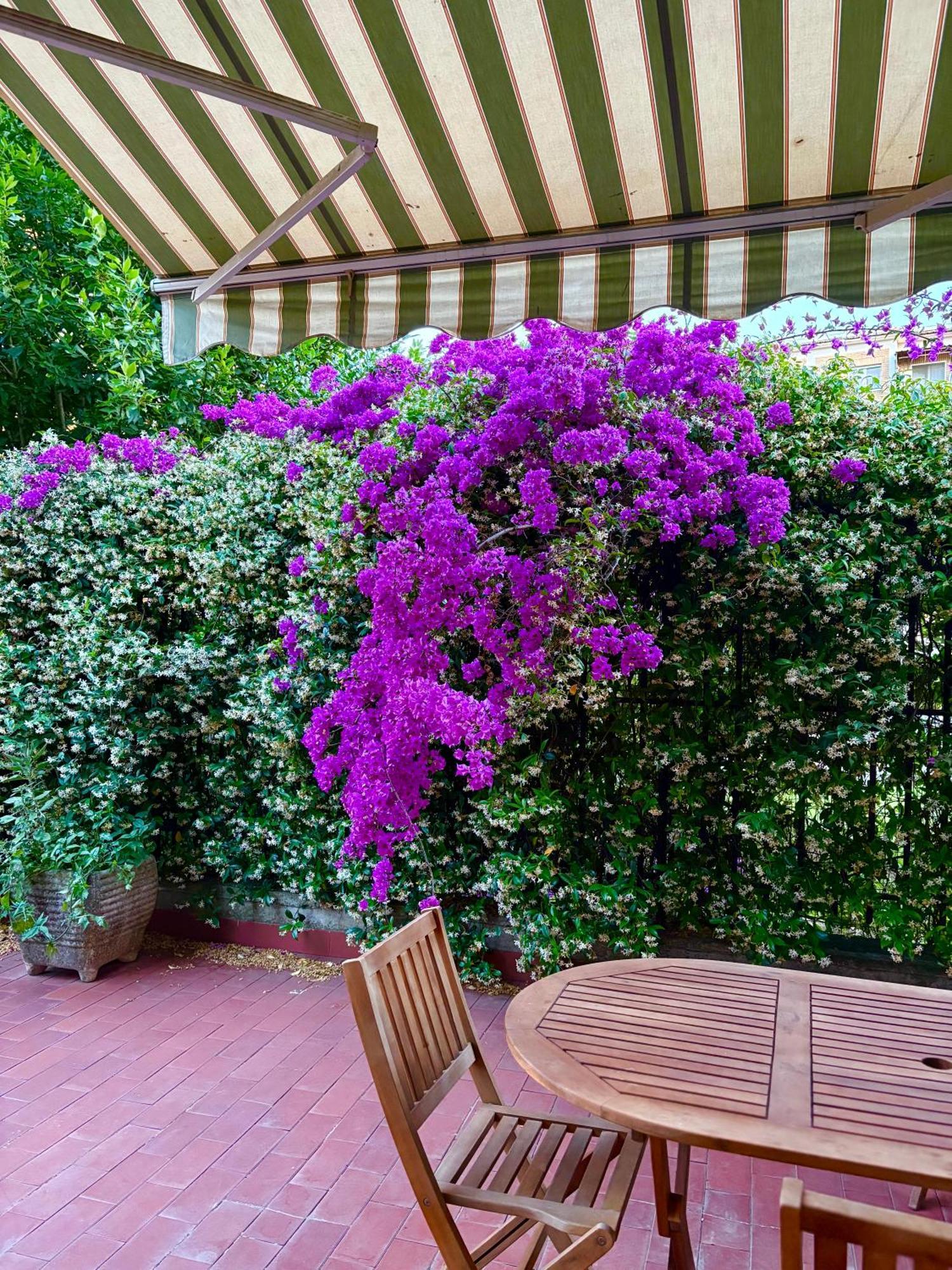 Casa Arianna Apartment Rome Exterior photo